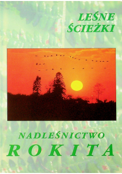 Nadleśnictwo Rokita