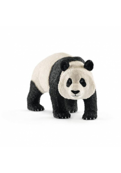 Panda Wielka Samiec SLH14772