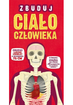 Zbuduj ciało człowieka