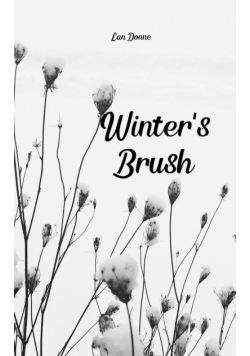 Winter's Brush