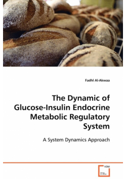The Dynamic of Glucose-Insulin Endocrine Metabolic Regulatory System