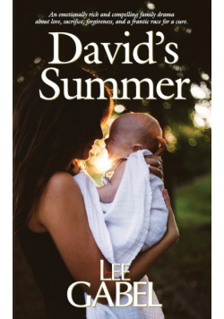 David's Summer