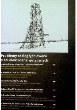 Problemy Rozległych Awarii Sieci Elektroenergetycznych