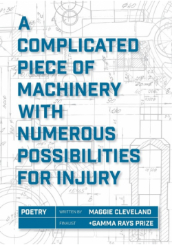 A Complicated Piece of Machinery With Numerous Possibilities for Injury