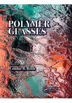 Polymer Glasses