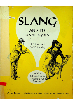 Slang and its analogues