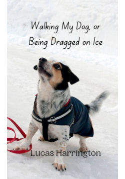 Walking My Dog, or Being Dragged on Ice