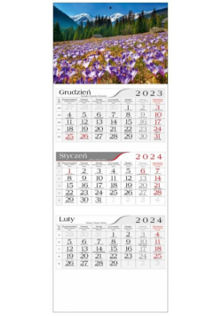 Kalendarz 2024 Trójdzielny Krokusy