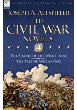 The Civil War Novels