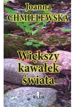 Większy kawałek świata