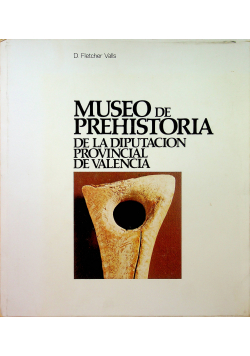 Museo de Prehistoria de la diputacion provincial de Valencia