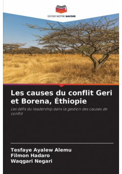 Les causes du conflit Geri et Borena, Éthiopie