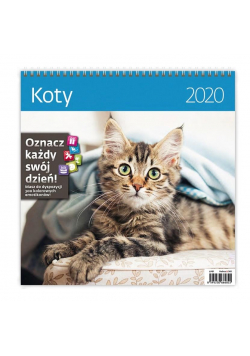 Kalendarz 2020 30x30cm Koty HELMA