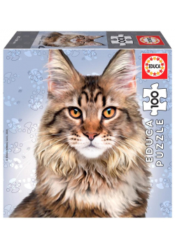 Puzzle 100 Koty - Maine coon G3