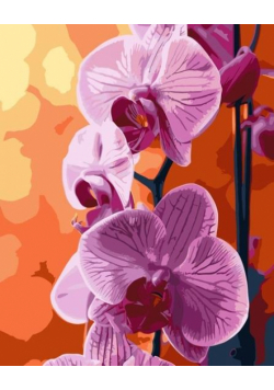 Malowanie po numerach - Orchidea 40x50cm