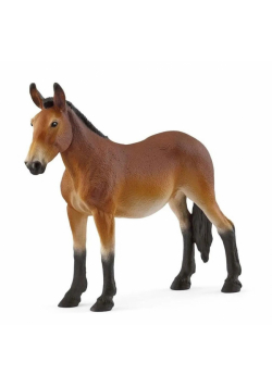Muł