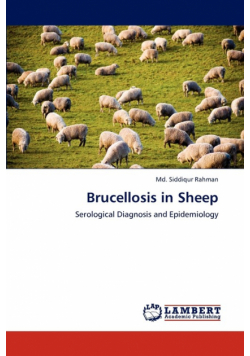 Brucellosis in Sheep