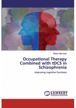 Occupational Therapy Combined with tDCS in Schizophrenia
