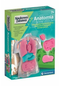 Naukowa Zabawa. Anatomia