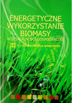 Energetyczne wykorzystanie biomasy w działalności gospodarczej