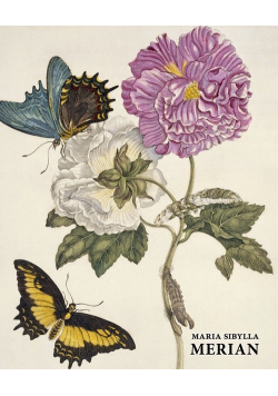 Maria Sibylla Merian