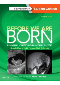 Before We Are Born