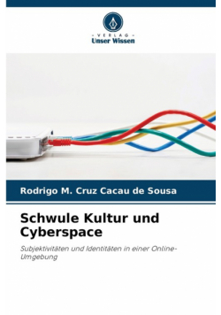 Schwule Kultur und Cyberspace