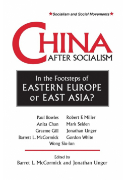 China After Socialism