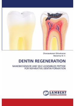 Dentin Regeneration