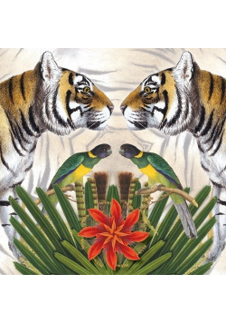 Karnet kwadrat z kopertą Bengal Tiger