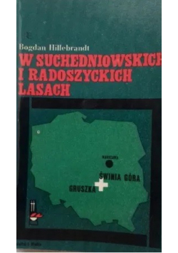 W Suchedniowskich i Radoszyckich lasach