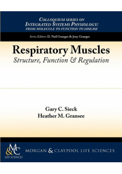 Respiratory Muscles
