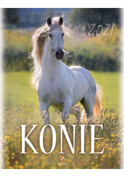 Kalendarz 2021 Ścienny Konie
