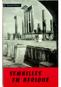 Semailles en afroique