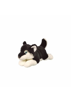 Pies husky 34cm
