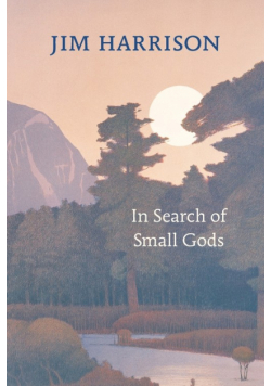 In Search of Small Gods