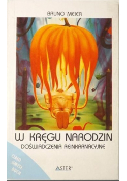 W kręgu narodzin Doświadczenia reinkarnacyjne