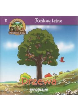 Rośliny leśne 11  Drzewa