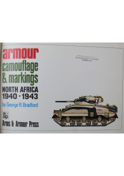 Armour camouflage markings