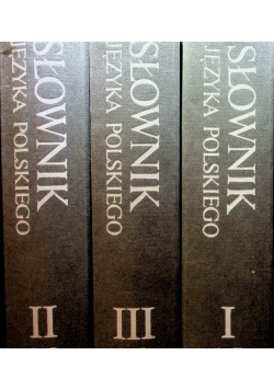 Słownik języka Polskiego 3 tomy