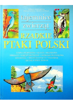 Rzadkie ptaki Polski