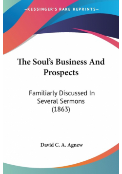 The Soul's Business And Prospects