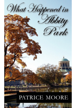 What Happened in Abbity Park