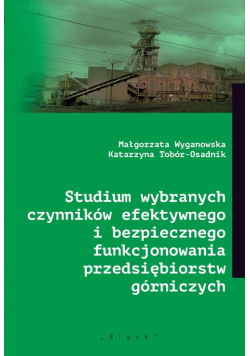 Studium wybranych czynników efektywnego i bezpiecznego funkcjonowania przedsiębiorstw górniczych