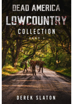 Dead America Lowcountry Collection Part 1 - Books 1 - 6