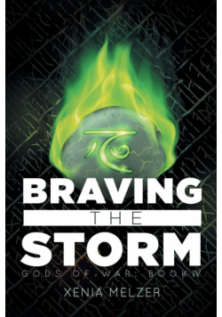 Braving the Storm