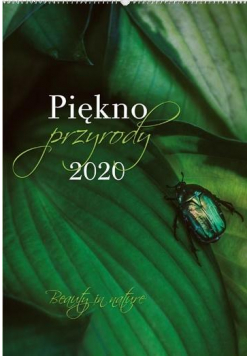 Kalendarz 2020 Reklamowy Piękno przyrody RW22