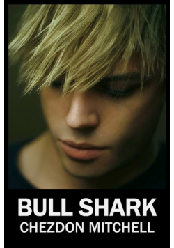Bull Shark Part 1