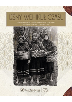 Leśny wehikuł czasu