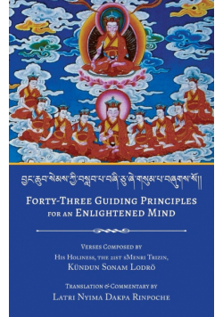 Forty-Three Guiding Principles for an Enlightened Mind